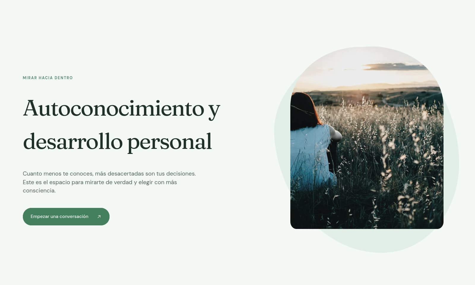 Página de servicio